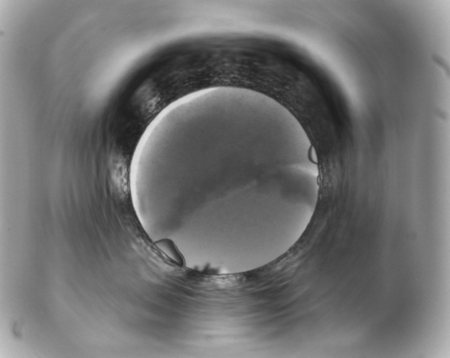 X0000102410479200808291512