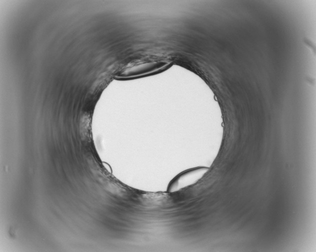 X0000102410480200808291512