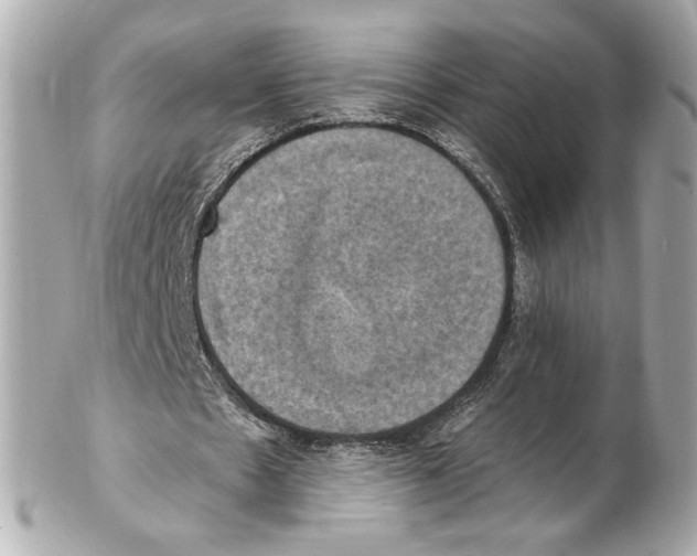 X0000102410481200808291511