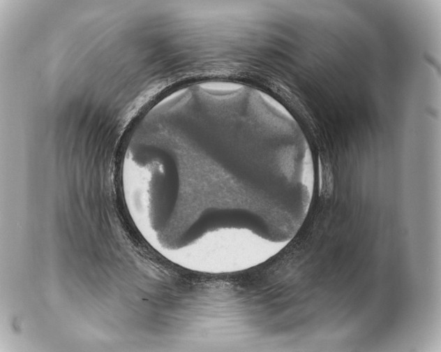 X0000102410483200808291511