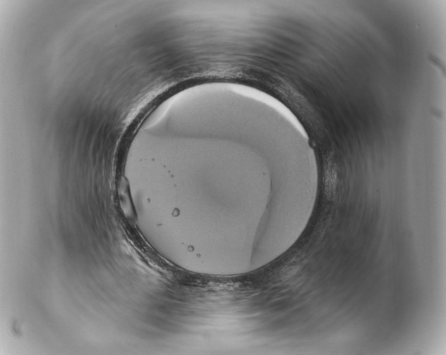 X0000102410484200808291511