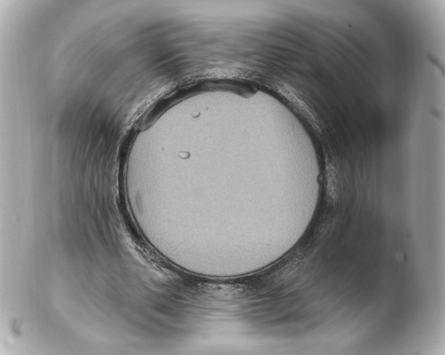 X0000102410486200808291511