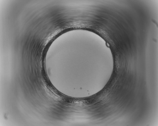 X0000102410488200808291511