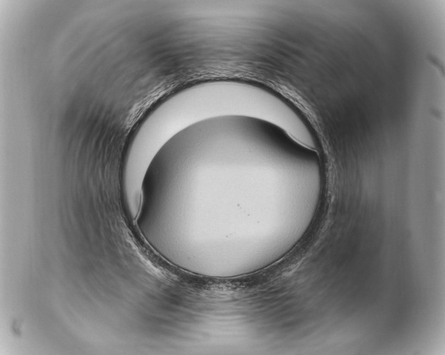 X0000102410489200808291511