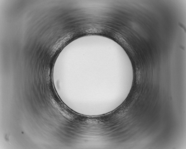 X0000102410490200808291511