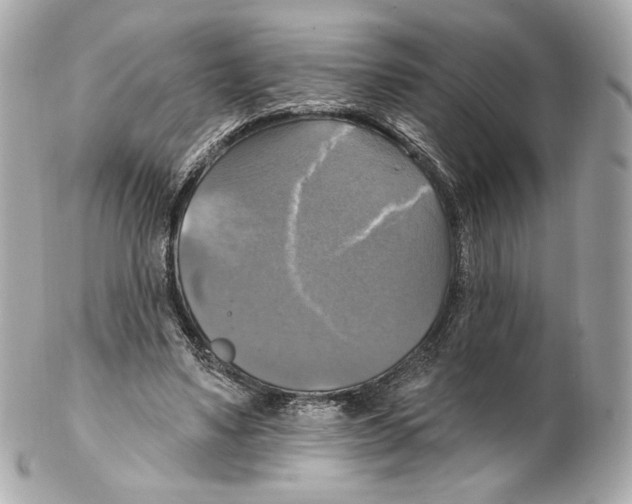 X0000102410491200808291511