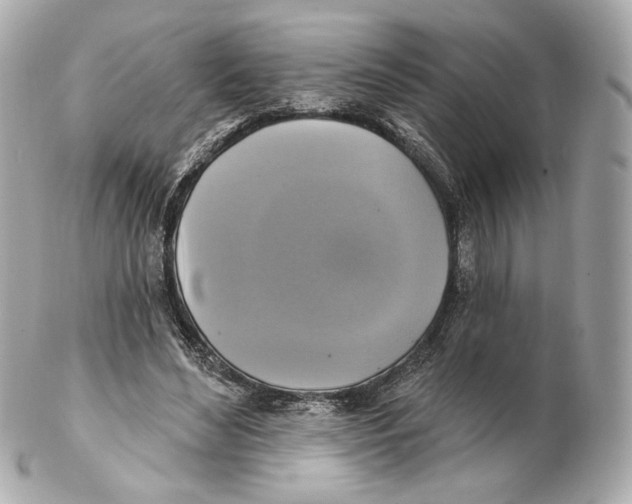 X0000102410492200808291511