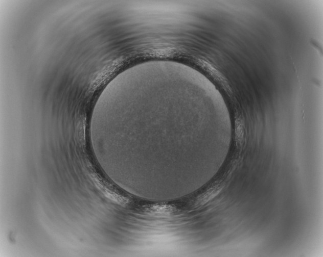 X0000102410493200808291511