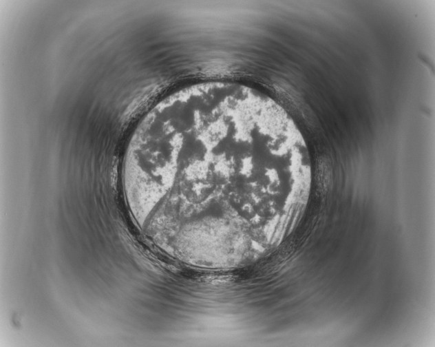 X0000102410495200808291511