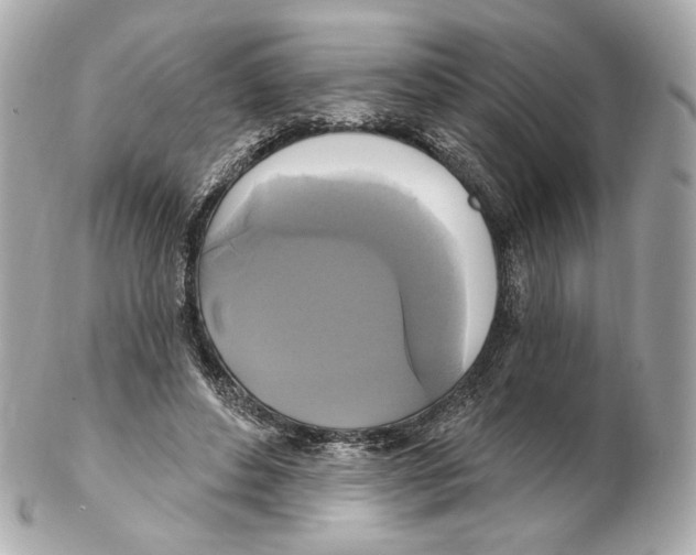 X0000102410496200808291511