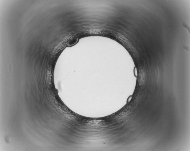 X0000102410497200808291511