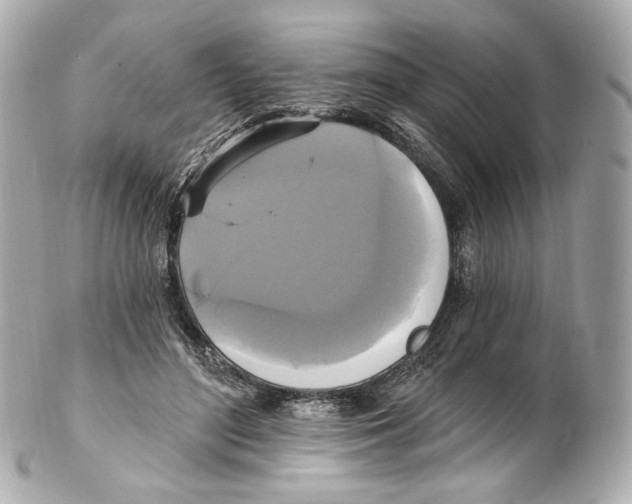 X0000102410500200808291511