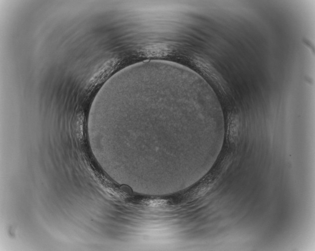 X0000102410501200808291511