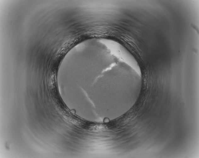 X0000102410503200808291511