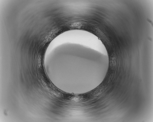 X0000102410504200808291511