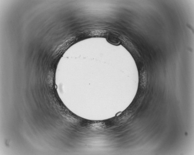 X0000102410505200808291511