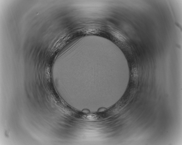 X0000102410506200808291511