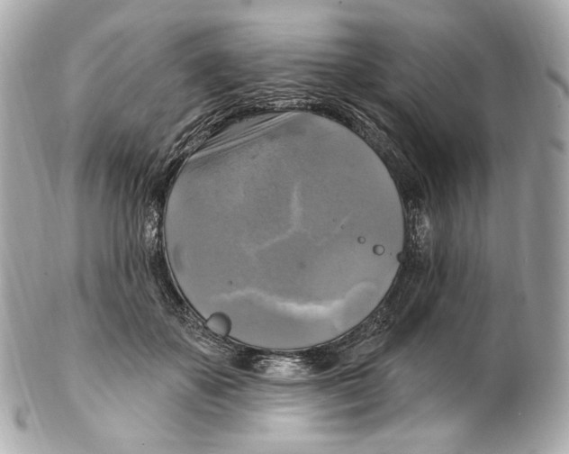 X0000102410507200808291511