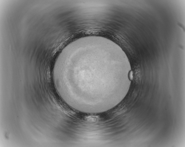 X0000102410508200808291511