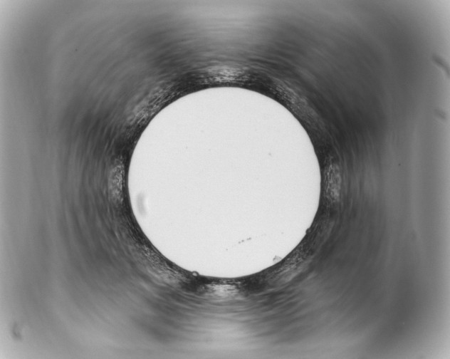 X0000102410509200808291511