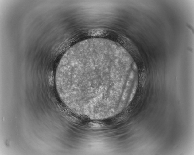 X0000102410510200808291510