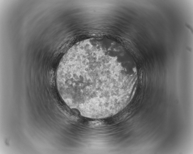 X0000102410511200808291510