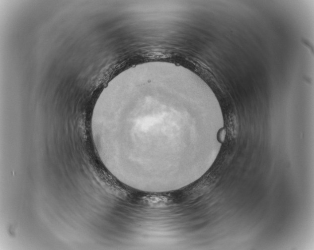 X0000102410512200808291510