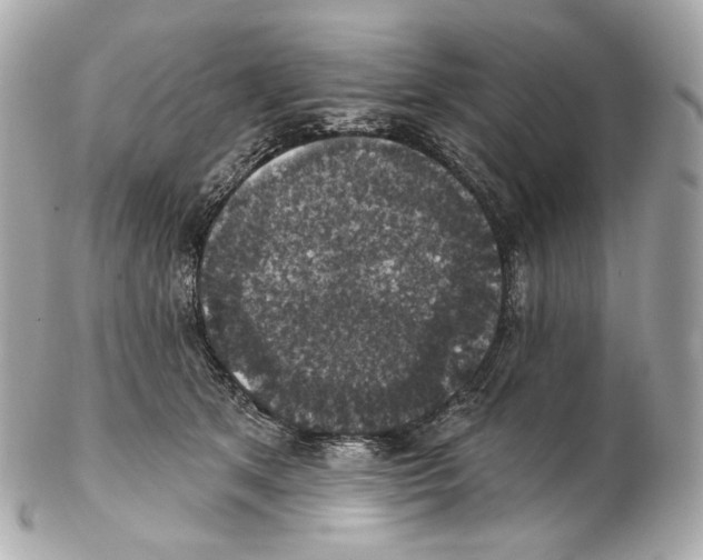 X0000102410513200808291510