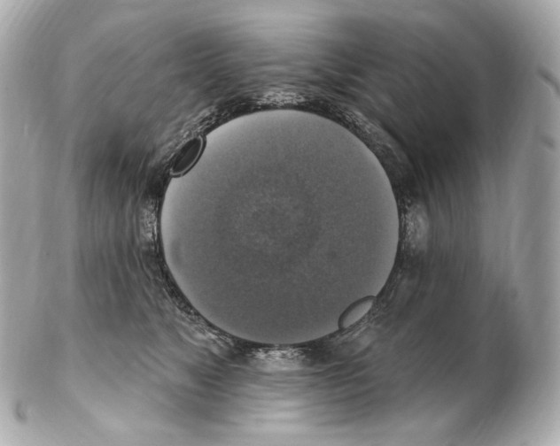 X0000102410517200808291510