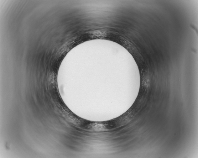 X0000102410518200808291510