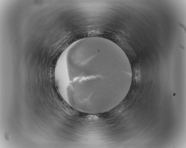 X0000102410519200808291510