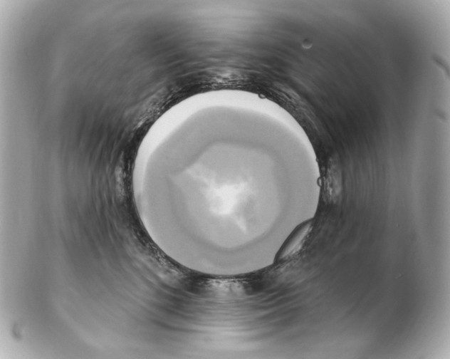 X0000102410520200808291510