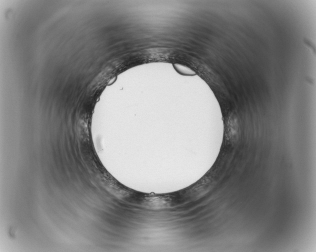 X0000102410522200808291510