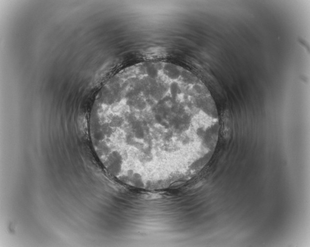 X0000102410523200808291510