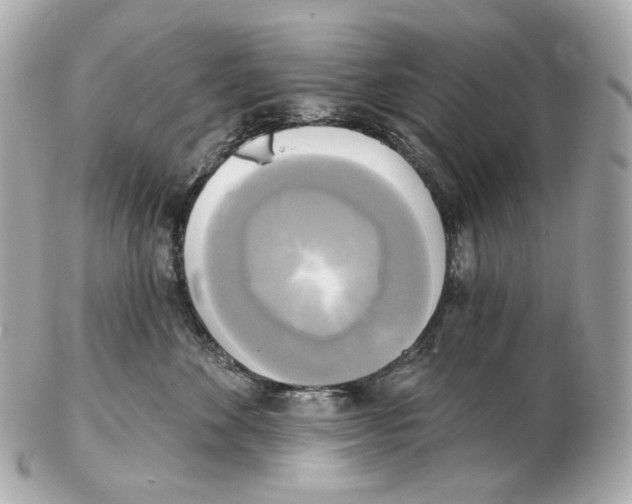 X0000102410524200808291510