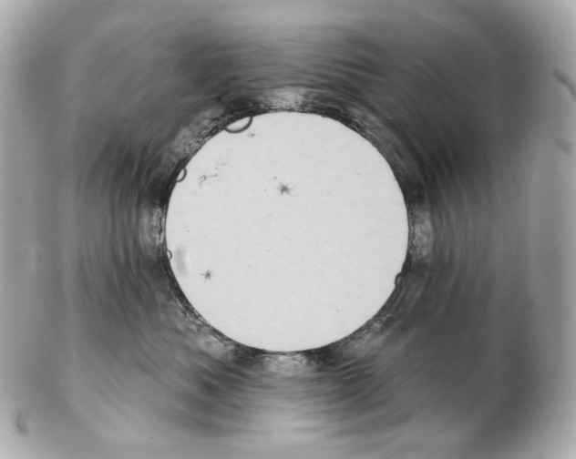 X0000102410525200808291510