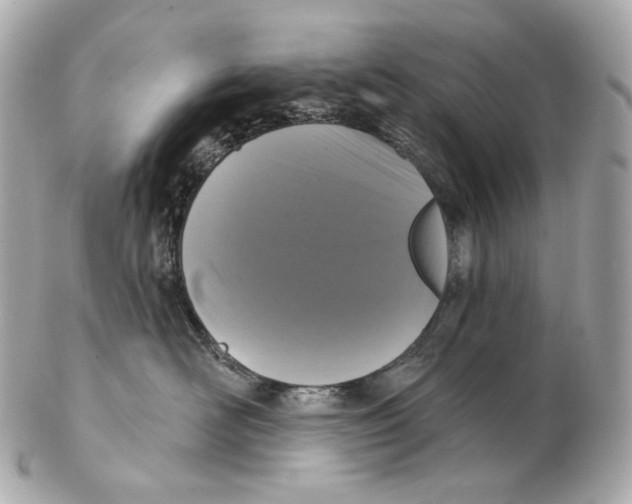 X0000102410526200808291510