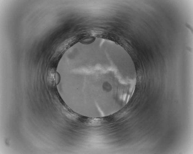 X0000102410527200808291510