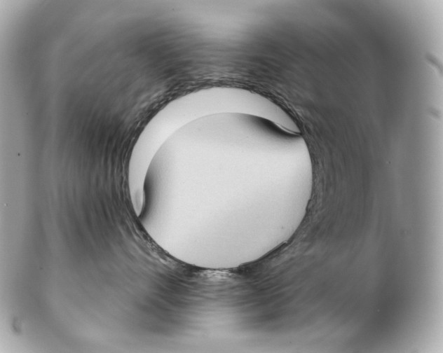 X0000102410528200808291510