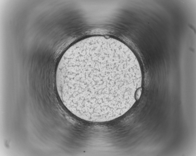 X0000102410529200808291510