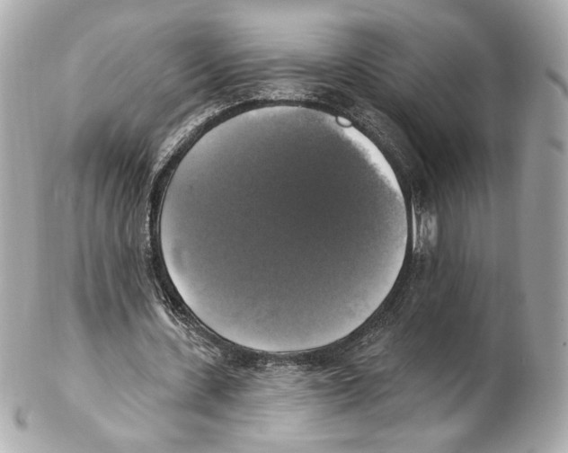 X0000102410531200808291510