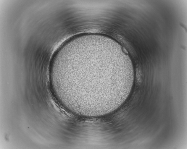 X0000102410532200808291510