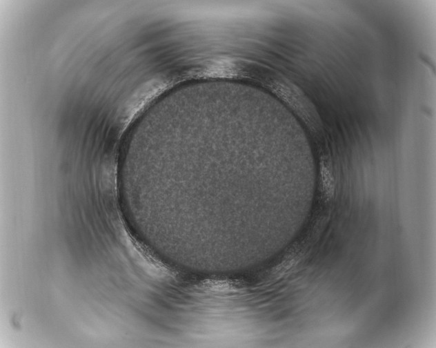 X0000102410534200808291510