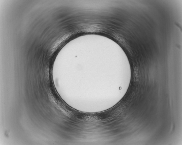 X0000102410535200808291510