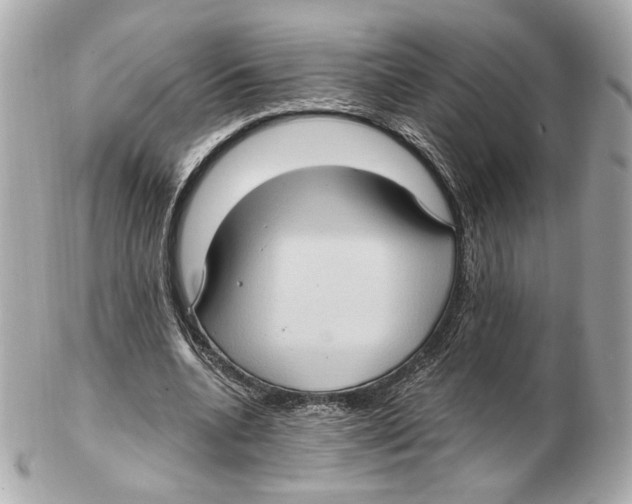 X0000102410536200808291510