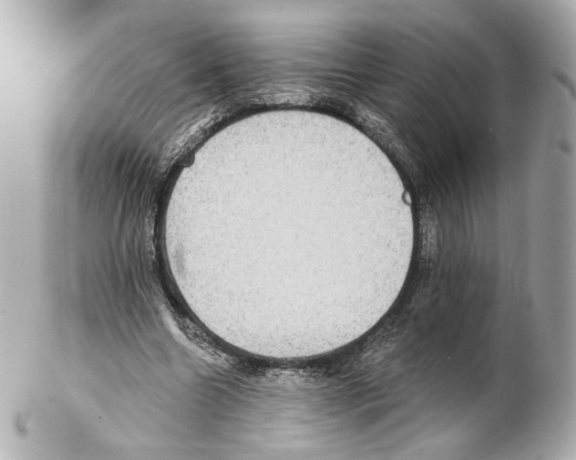 X0000102410538200808291510