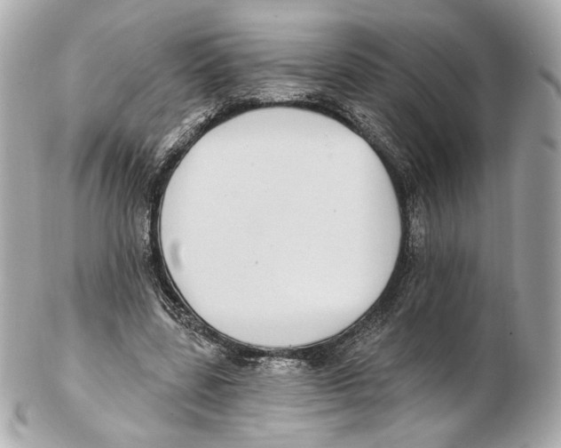 X0000102410539200808291510