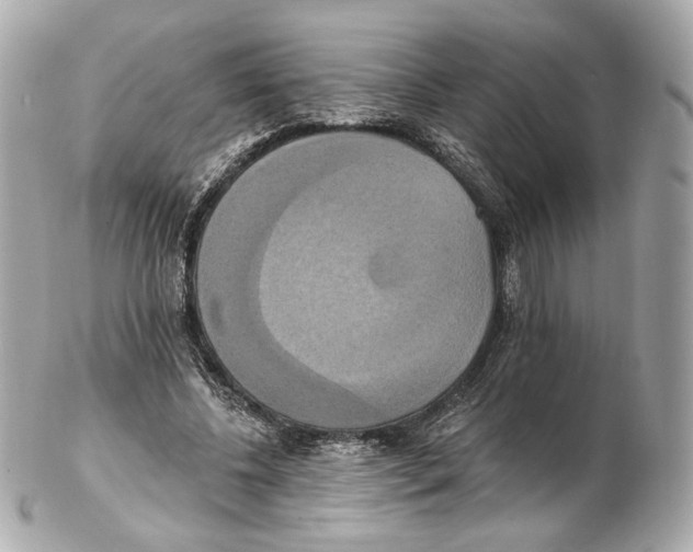 X0000102410540200808291510