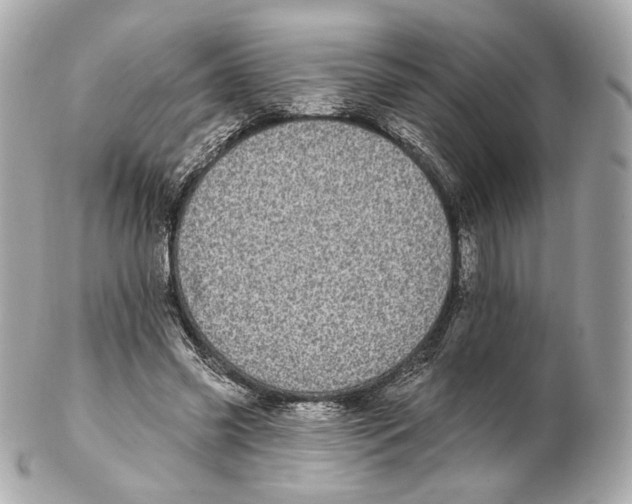 X0000102410541200808291510