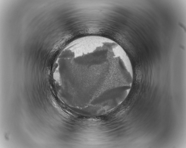 X0000102410542200808291510